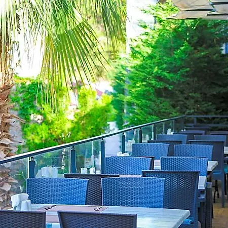 Tropical Deluxe Cedit